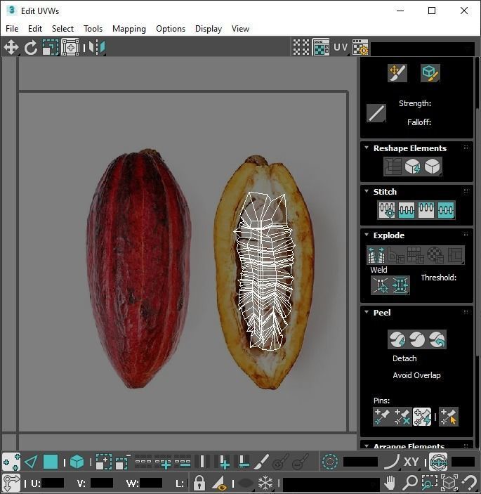 Cocoa Fruits and Beans Set 3D model_33