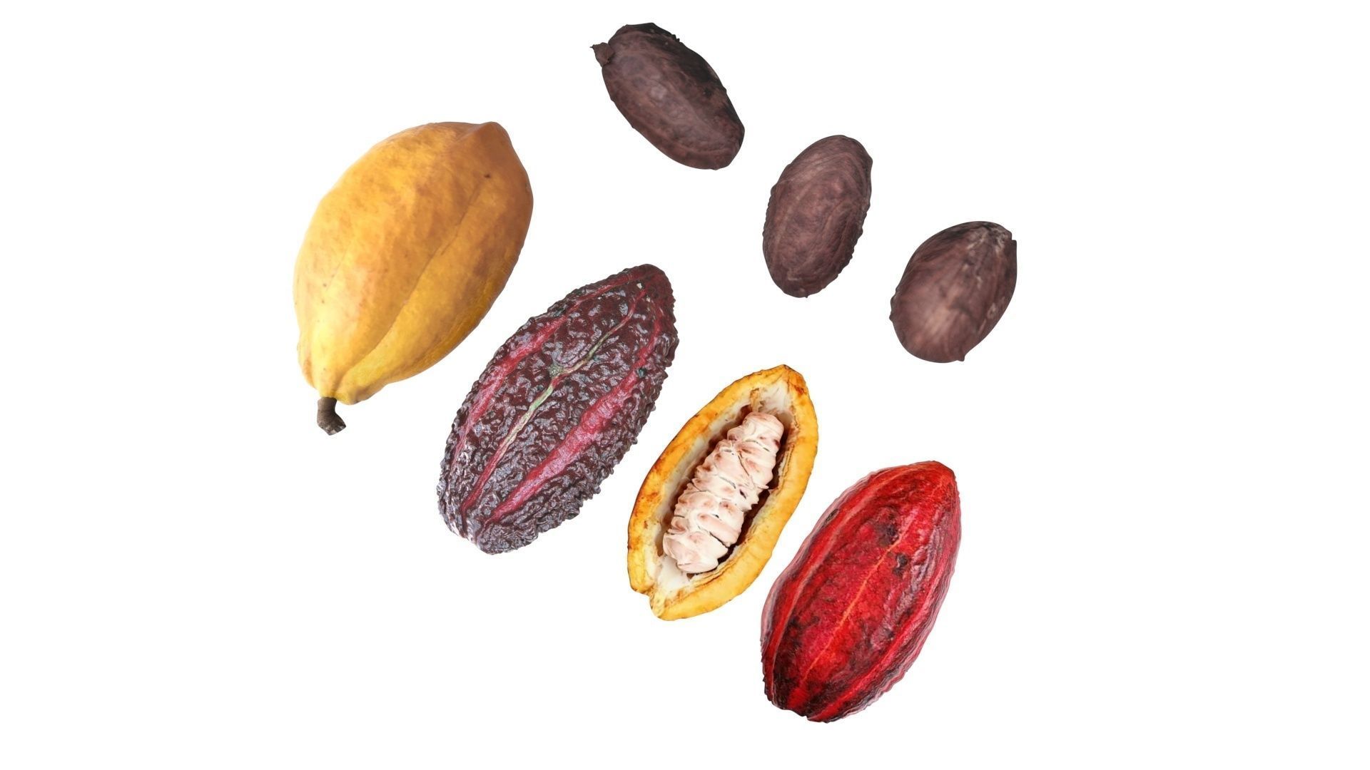Cocoa Fruits and Beans Set 3D model_19