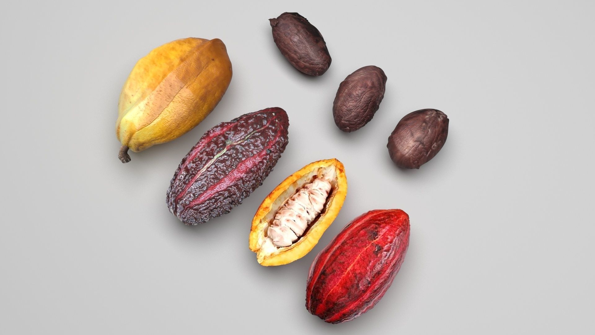Cocoa Fruits and Beans Set 3D model_3