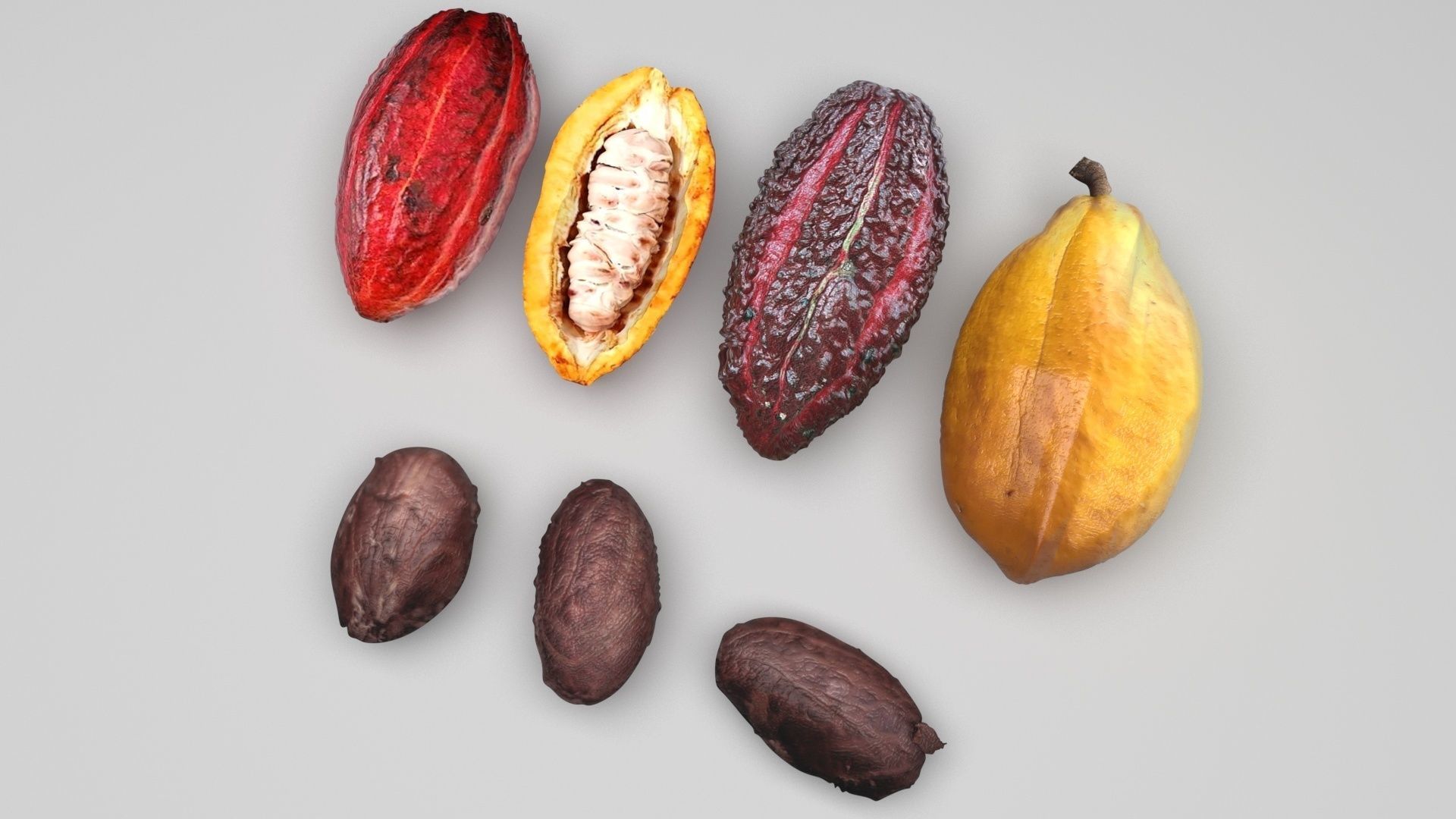 Cocoa Fruits and Beans Set 3D model_1