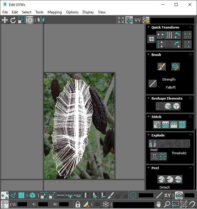 Cocoa Fruits and Beans Set 3D model_34