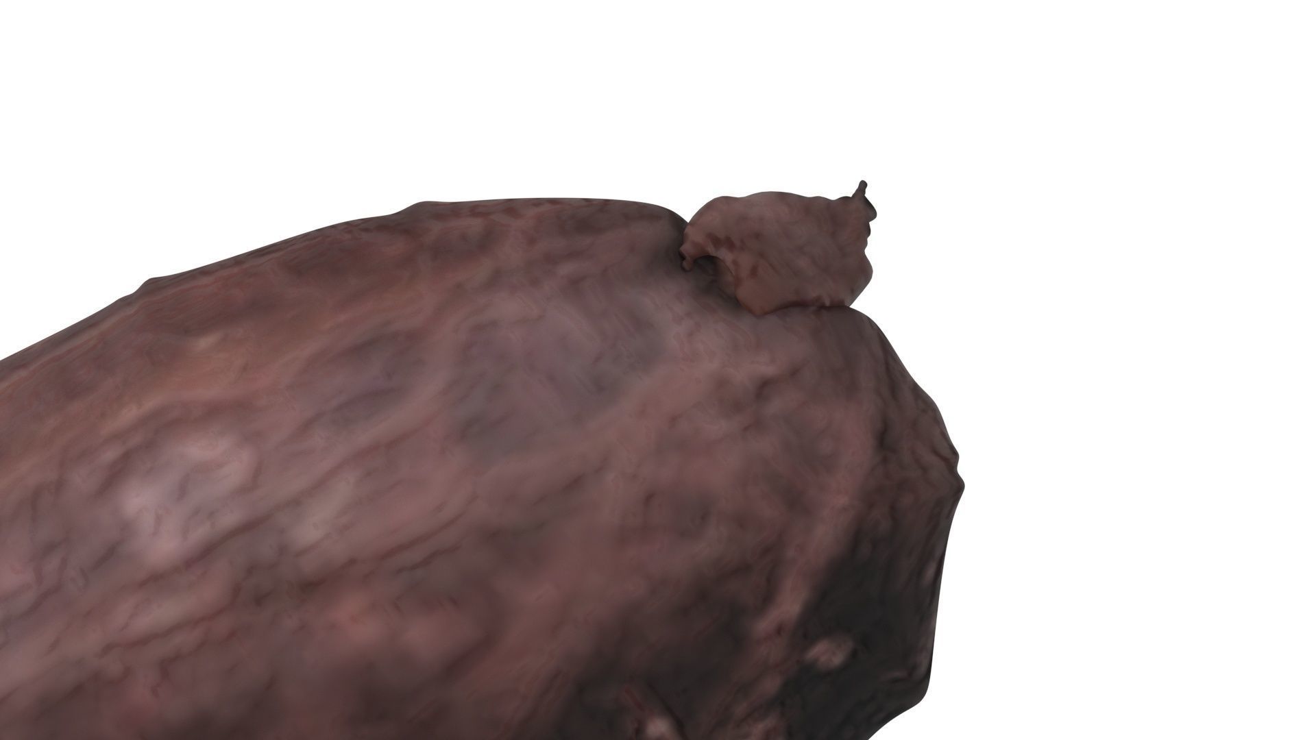 Cocoa Fruits and Beans Set 3D model_21