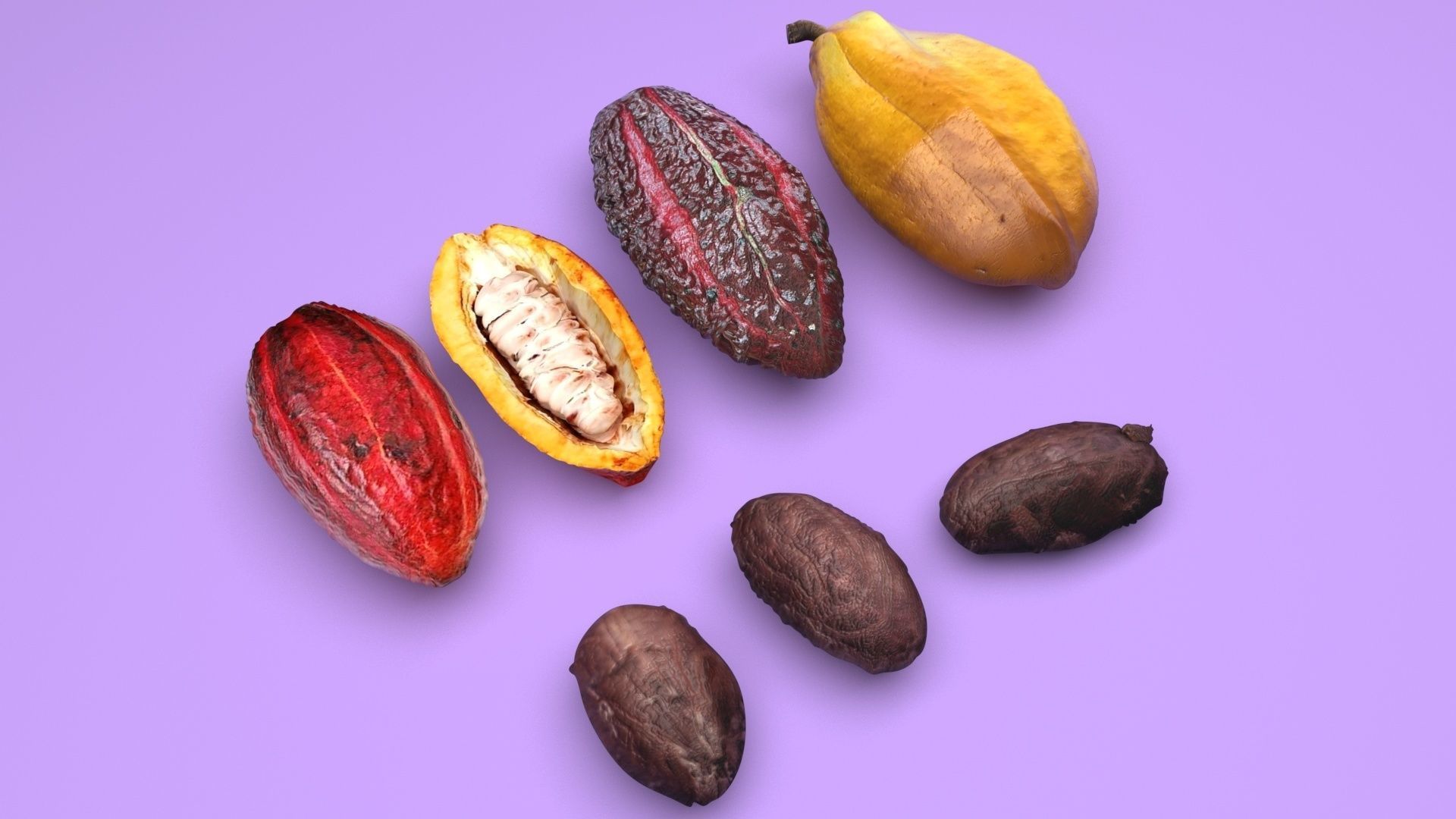 Cocoa Fruits and Beans Set 3D model_10