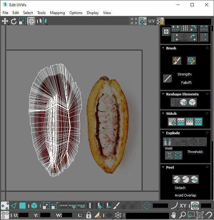 Cocoa Fruits and Beans Set 3D model_31