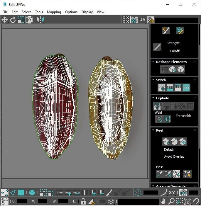 Cocoa Fruits and Beans Set 3D model_32