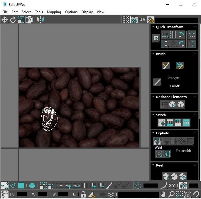 Cocoa Fruits and Beans Set 3D model_37