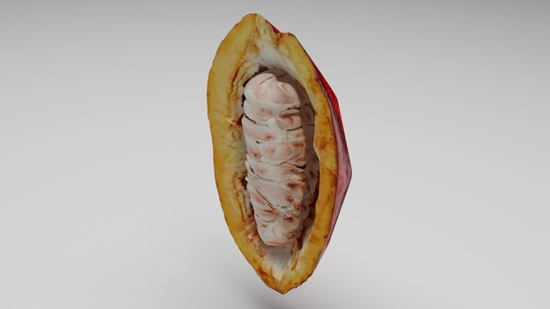 Cocoa Fruits and Beans Set 3D model_6