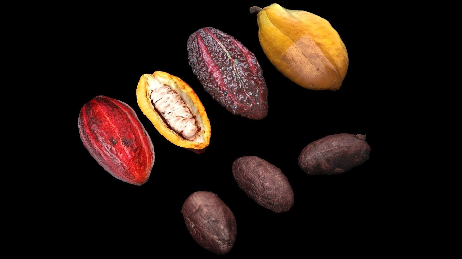Cocoa Fruits and Beans Set 3D model_11