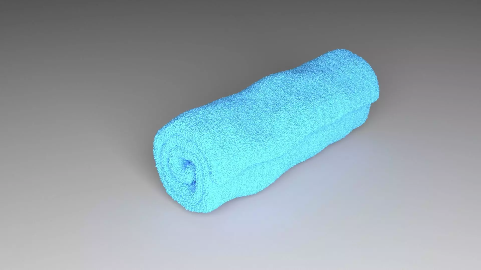 Towel Roll 3D model