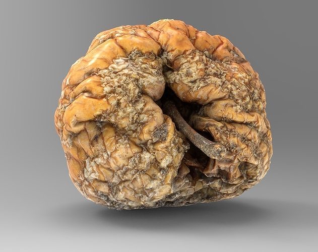 Rotten Apple 3D model Low-poly 3D model 5