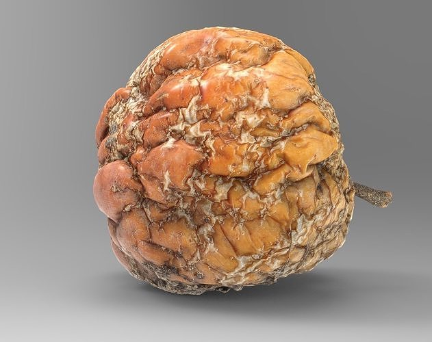 Rotten Apple 3D model Low-poly 3D model 4