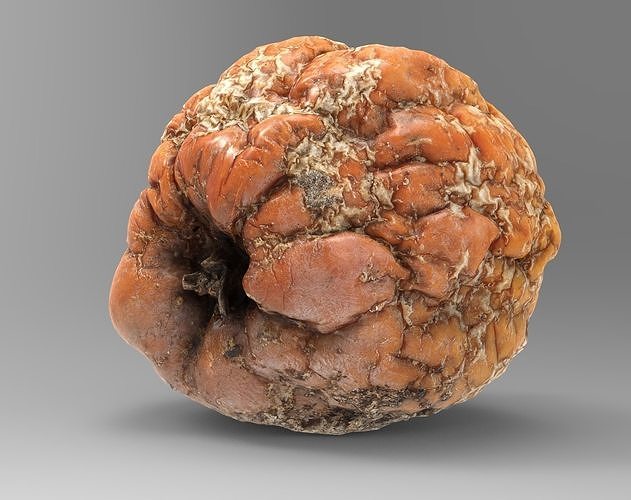 Rotten Apple 3D model Low-poly 3D model 3
