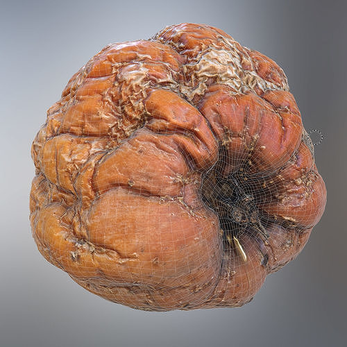 Rotten Apple 3D model Low-poly 3D model 7