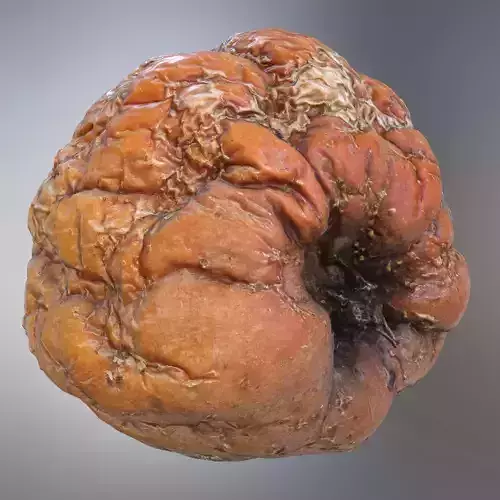 Rotten Apple 3D model Low-poly 3D model