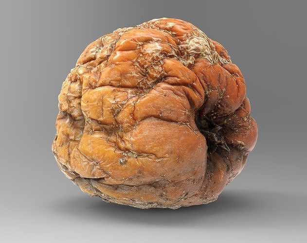 Rotten Apple 3D model Low-poly 3D model 2