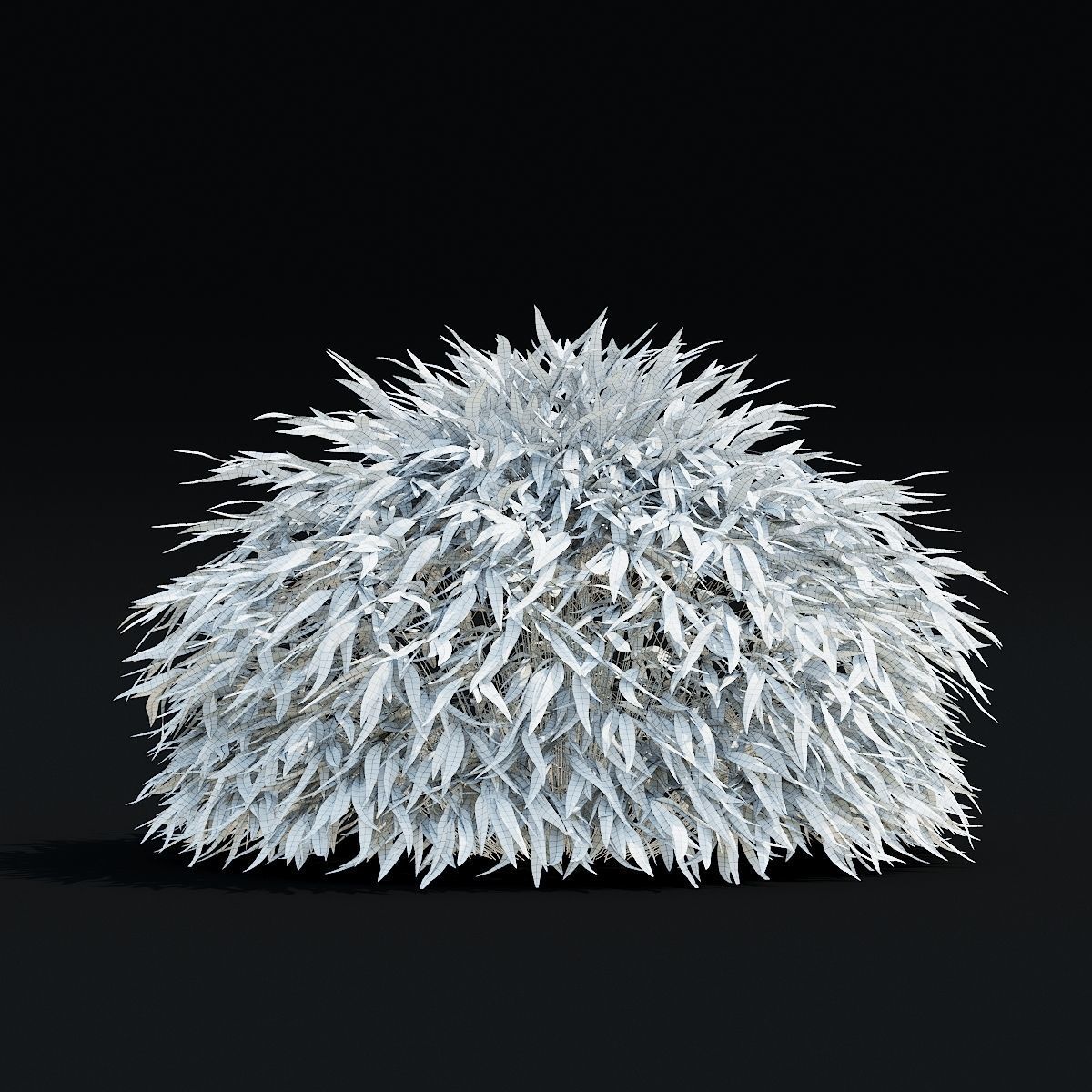 Hakonechloa macra vol 4 3D model_8