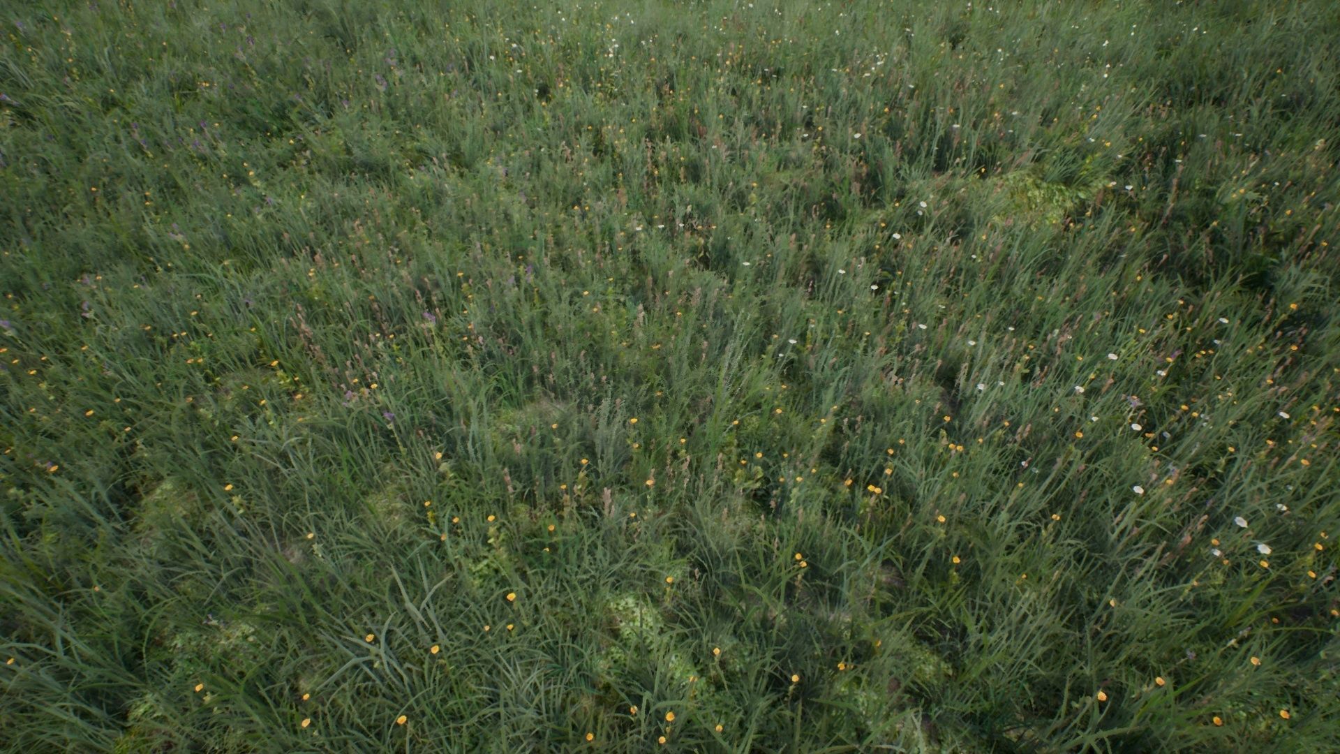 Tall Grasses And Plants Unreal Asset Low-poly 3D model_2