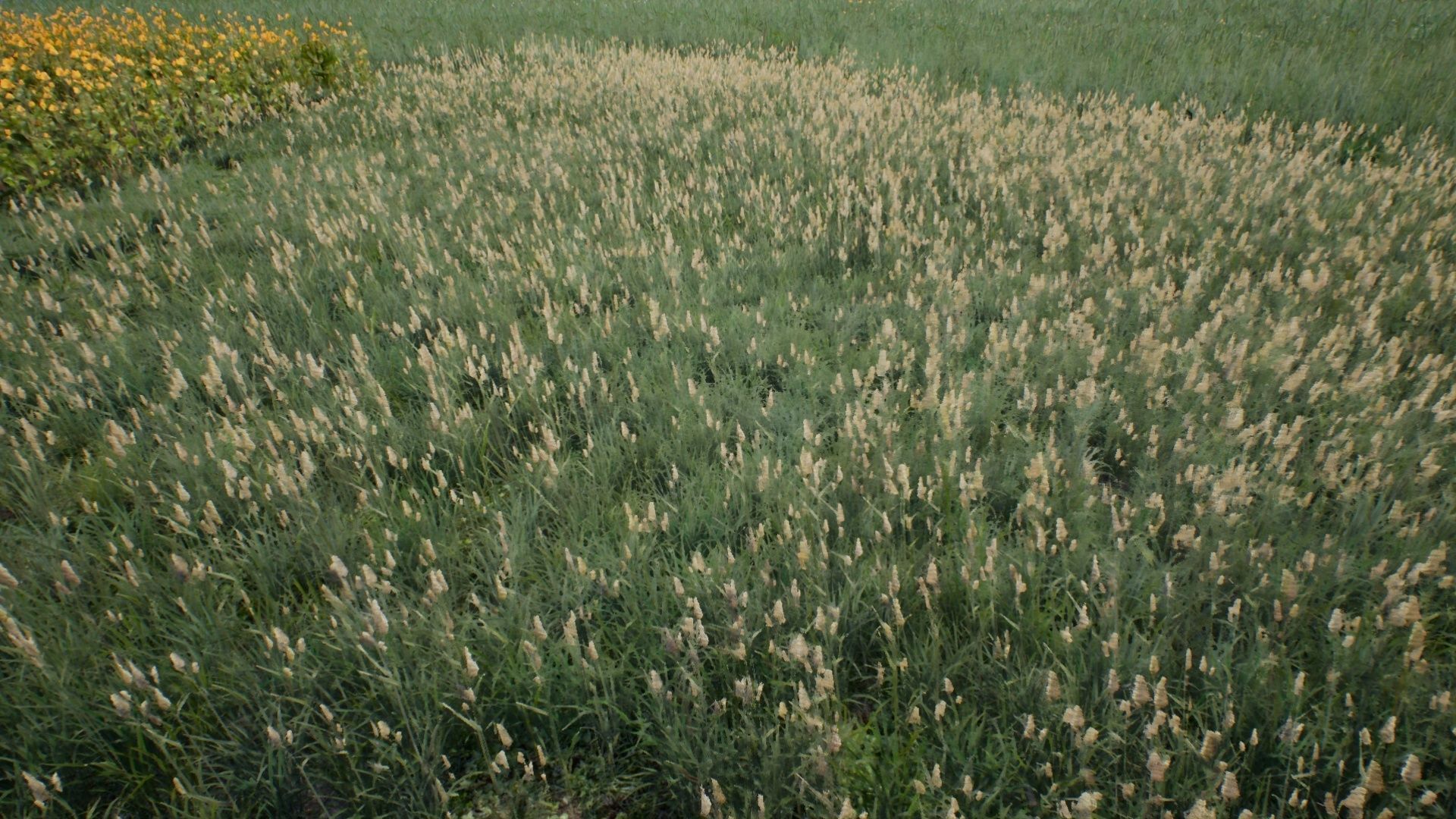 Tall Grasses And Plants Unreal Asset Low-poly 3D model_9