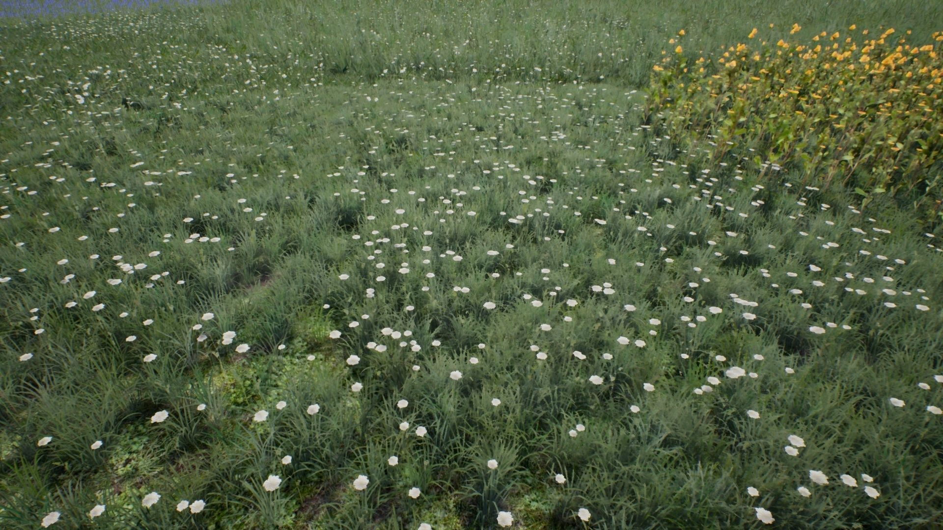 Tall Grasses And Plants Unreal Asset Low-poly 3D model_11