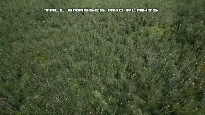 Tall Grasses And Plants Unreal Asset Low-poly 3D model