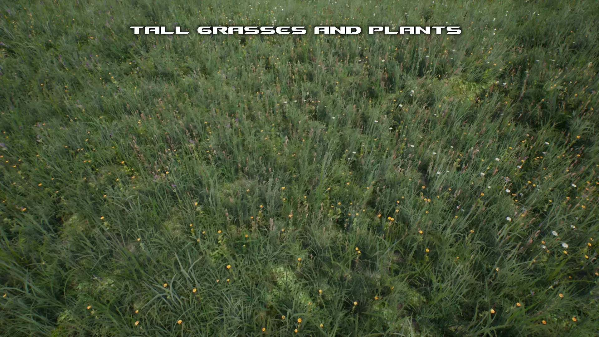 Tall Grasses And Plants Unreal Asset Low-poly 3D model_0