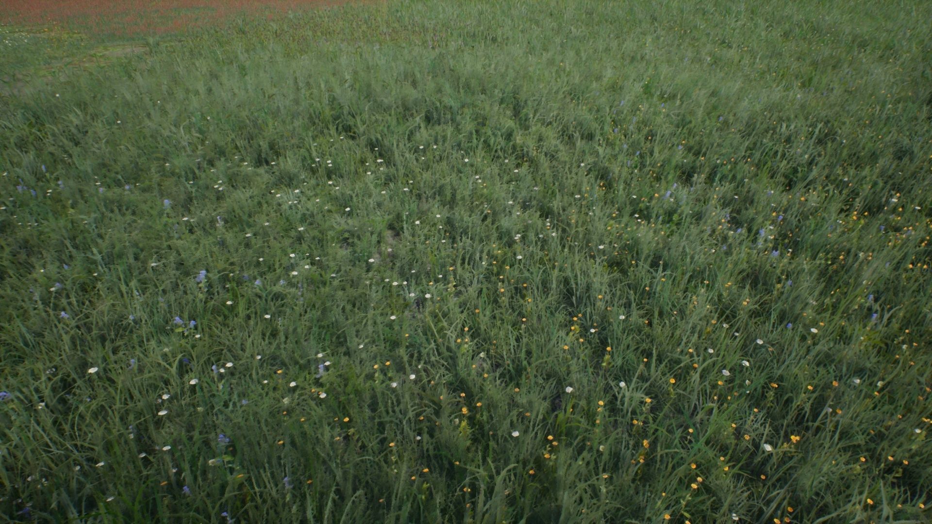 Tall Grasses And Plants Unreal Asset Low-poly 3D model_5