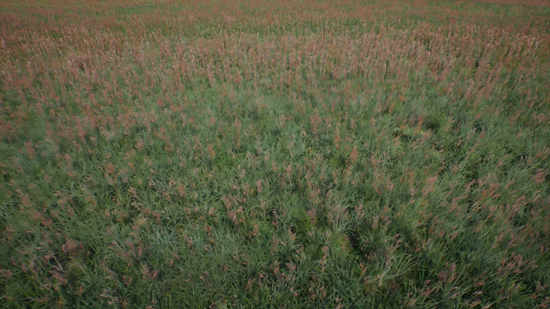 Tall Grasses And Plants Unreal Asset Low-poly 3D model_8