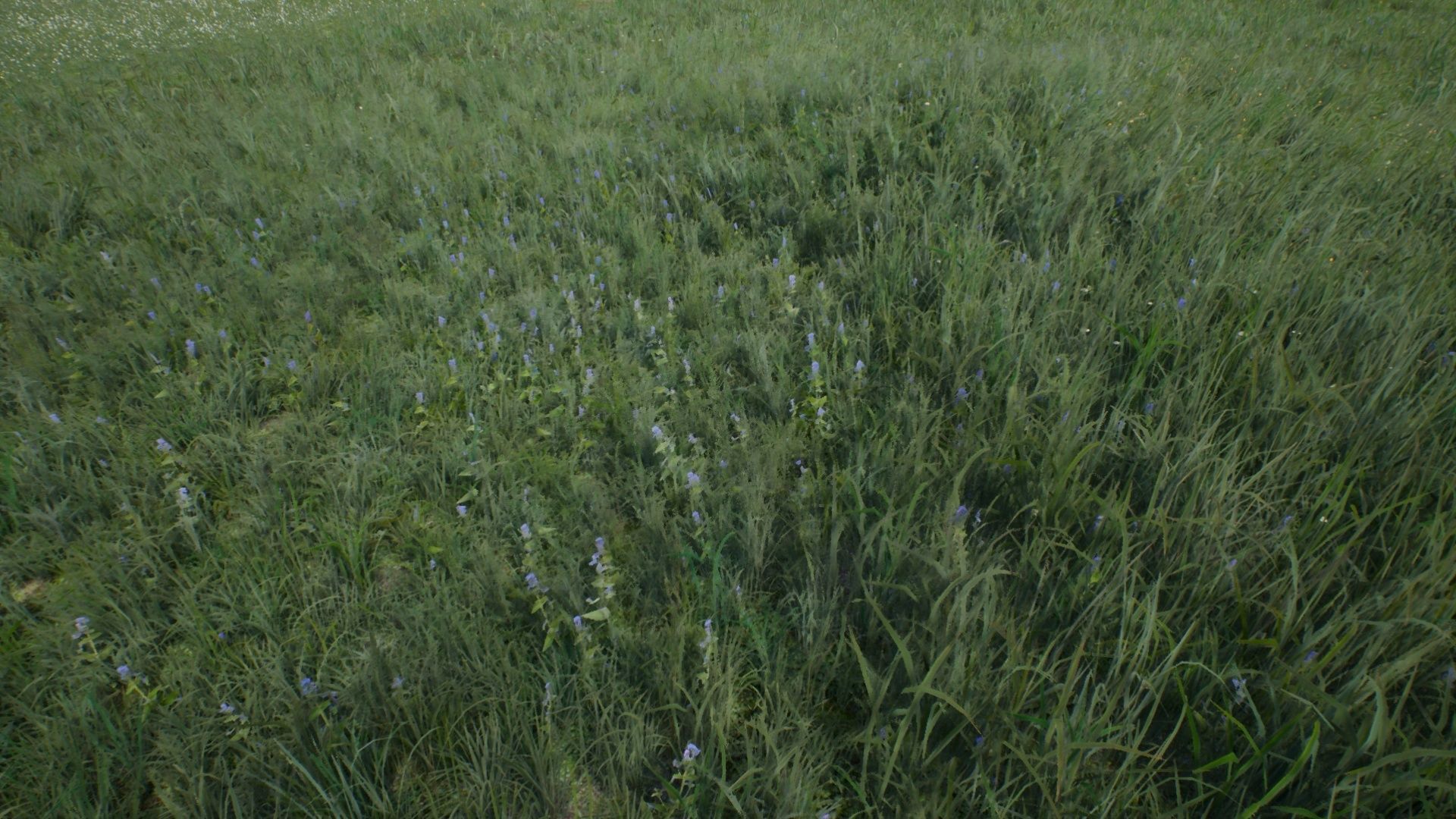 Tall Grasses And Plants Unreal Asset Low-poly 3D model_4