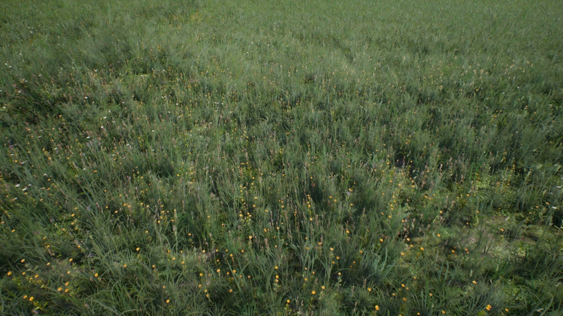 Tall Grasses And Plants Unreal Asset Low-poly 3D model_3
