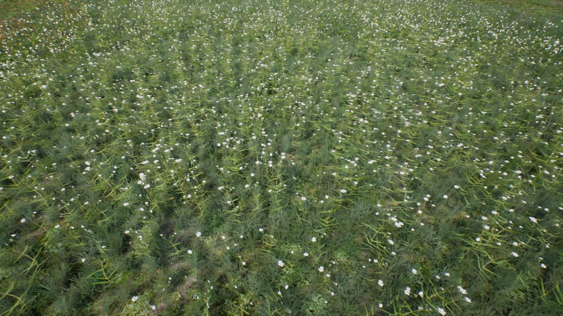 Tall Grasses And Plants Unreal Asset Low-poly 3D model_6