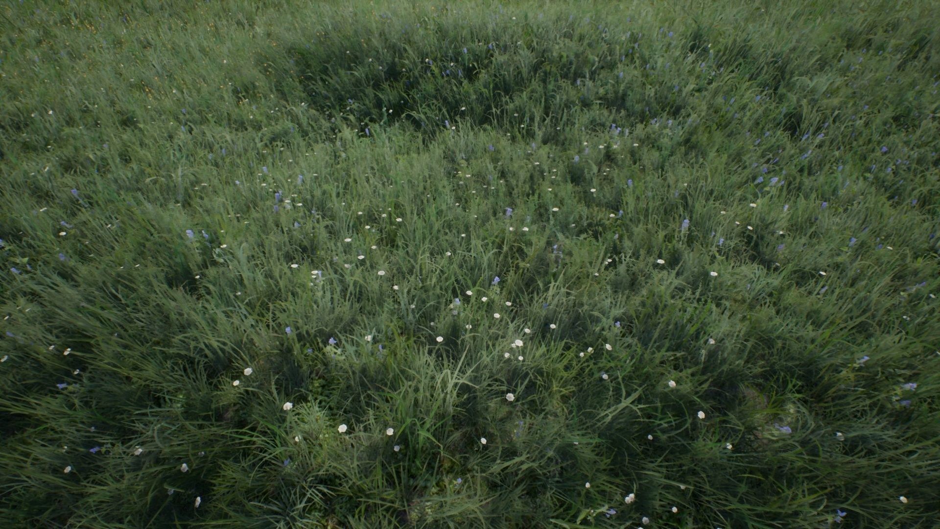 Tall Grasses And Plants Unreal Asset Low-poly 3D model_7