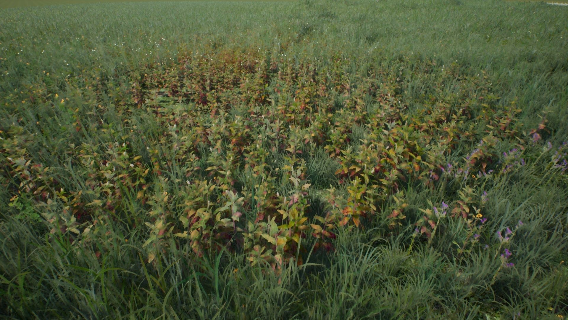 Tall Grasses And Plants Unreal Asset Low-poly 3D model_13