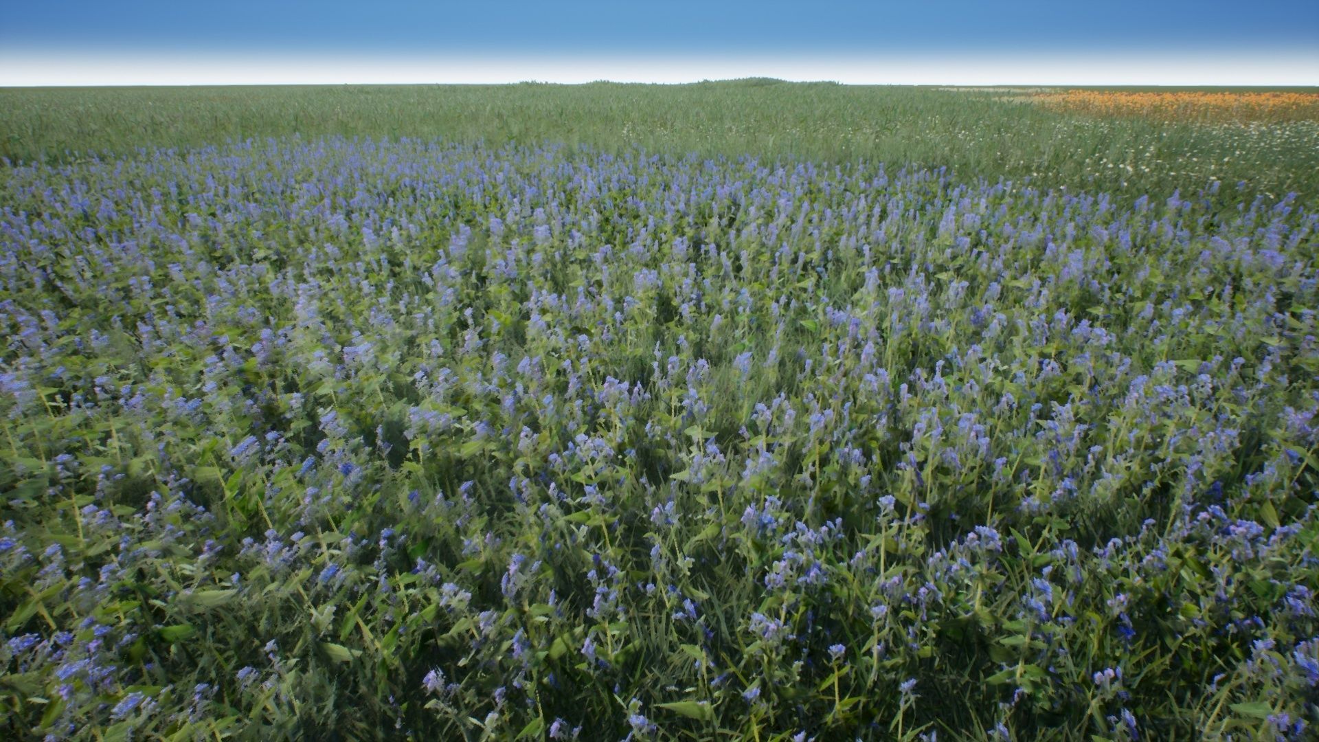 Tall Grasses And Plants Unreal Asset Low-poly 3D model_12