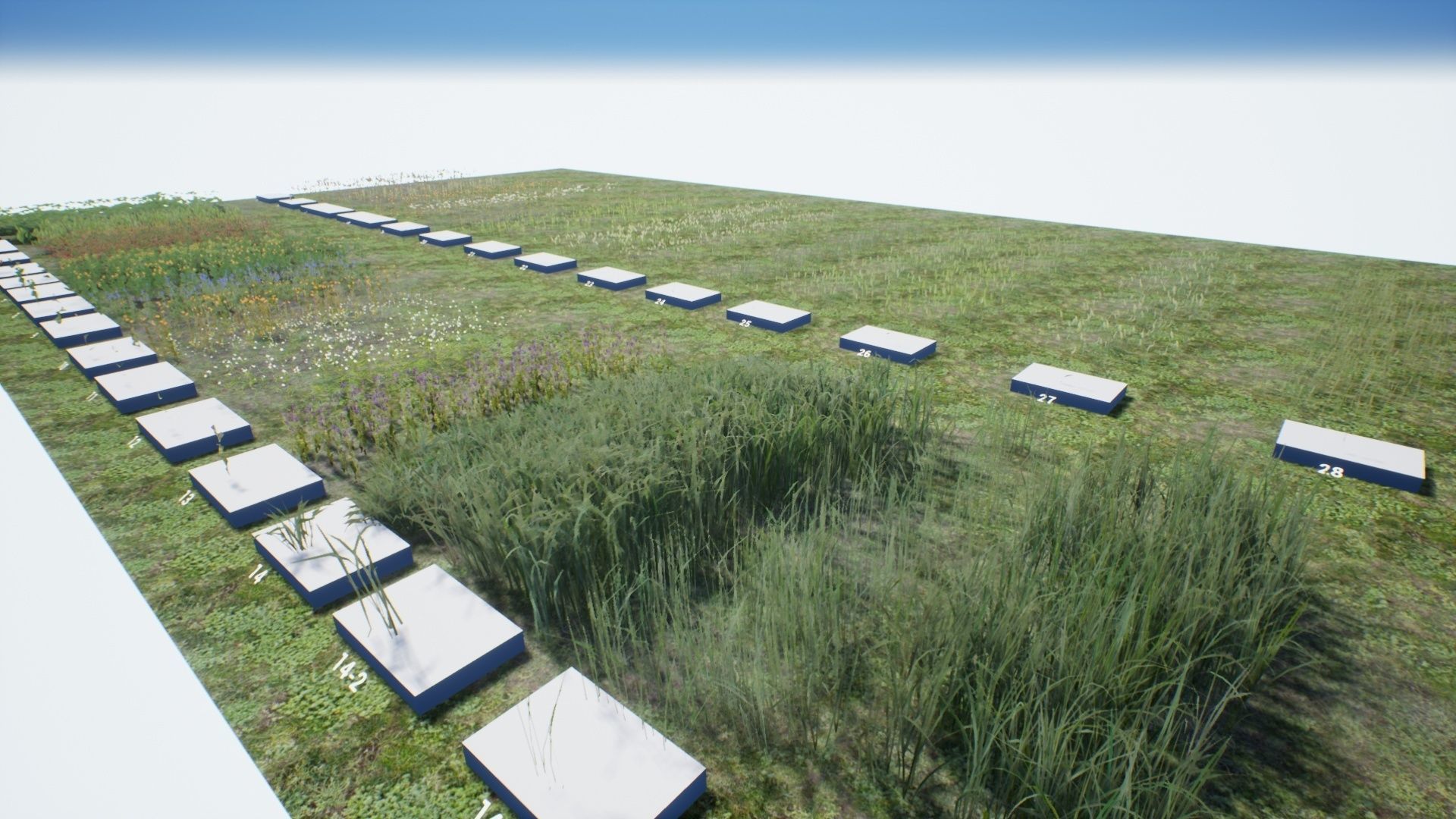 Tall Grasses And Plants Unreal Asset Low-poly 3D model_17