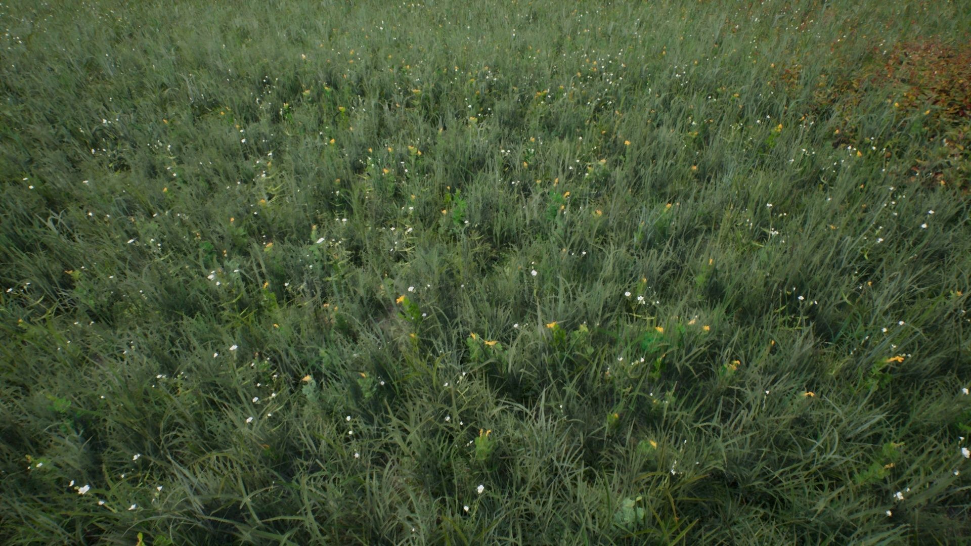 Tall Grasses And Plants Unreal Asset Low-poly 3D model_14