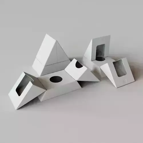 HINGED TRIANGLE BOX - Package 3D model