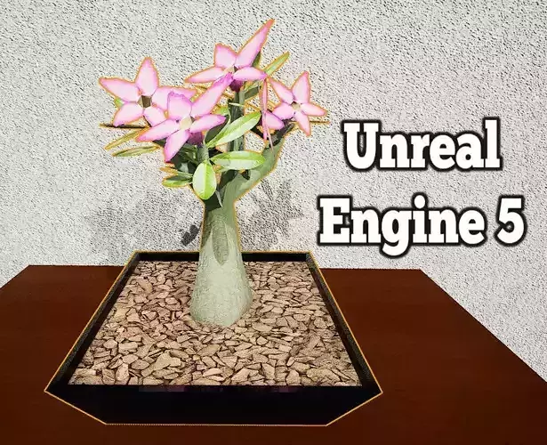 Desert Rose Flower PBR Lowpoly Adenium Rosa do Deserto