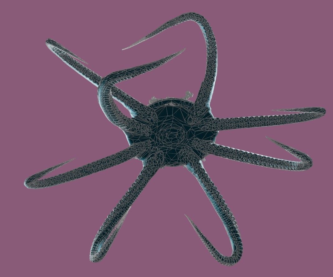 Rigged Octopus Diver 3D model_16