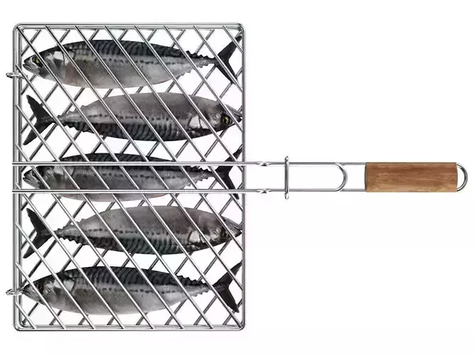 Fish Barbecue Grill1