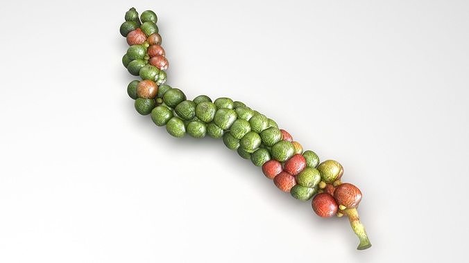Fresh Peppercorn 3D model 3