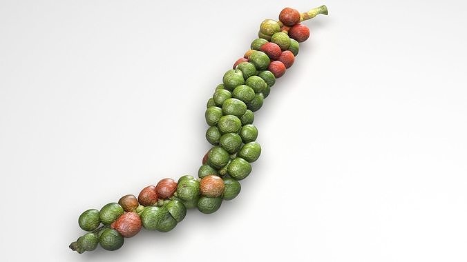 Fresh Peppercorn 3D model 2