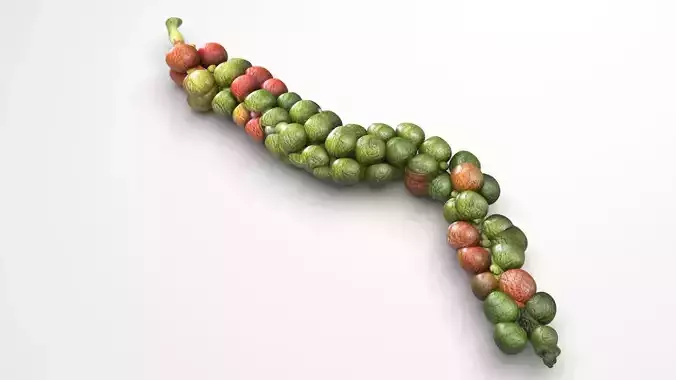 Fresh Peppercorn 3D model