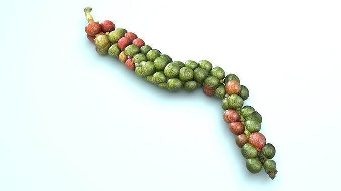 Fresh Peppercorn 3D model 7