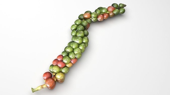 Fresh Peppercorn 3D model 4