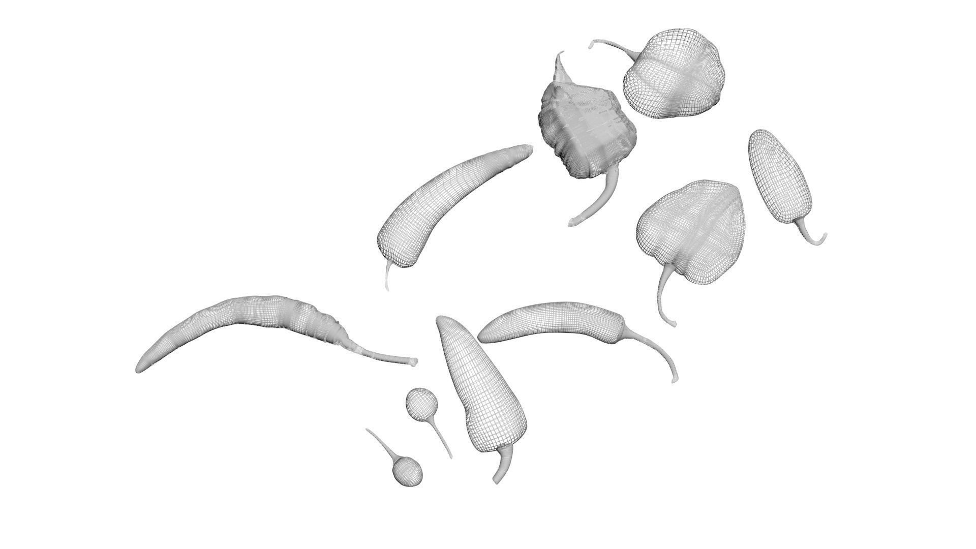 Chili Peppers Set 3D model_14