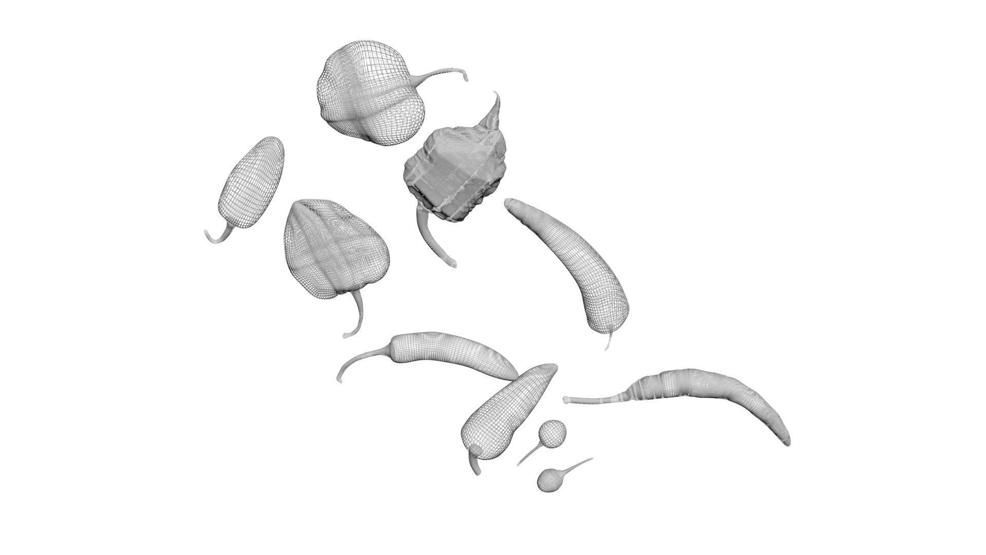 Chili Peppers Set 3D model_16