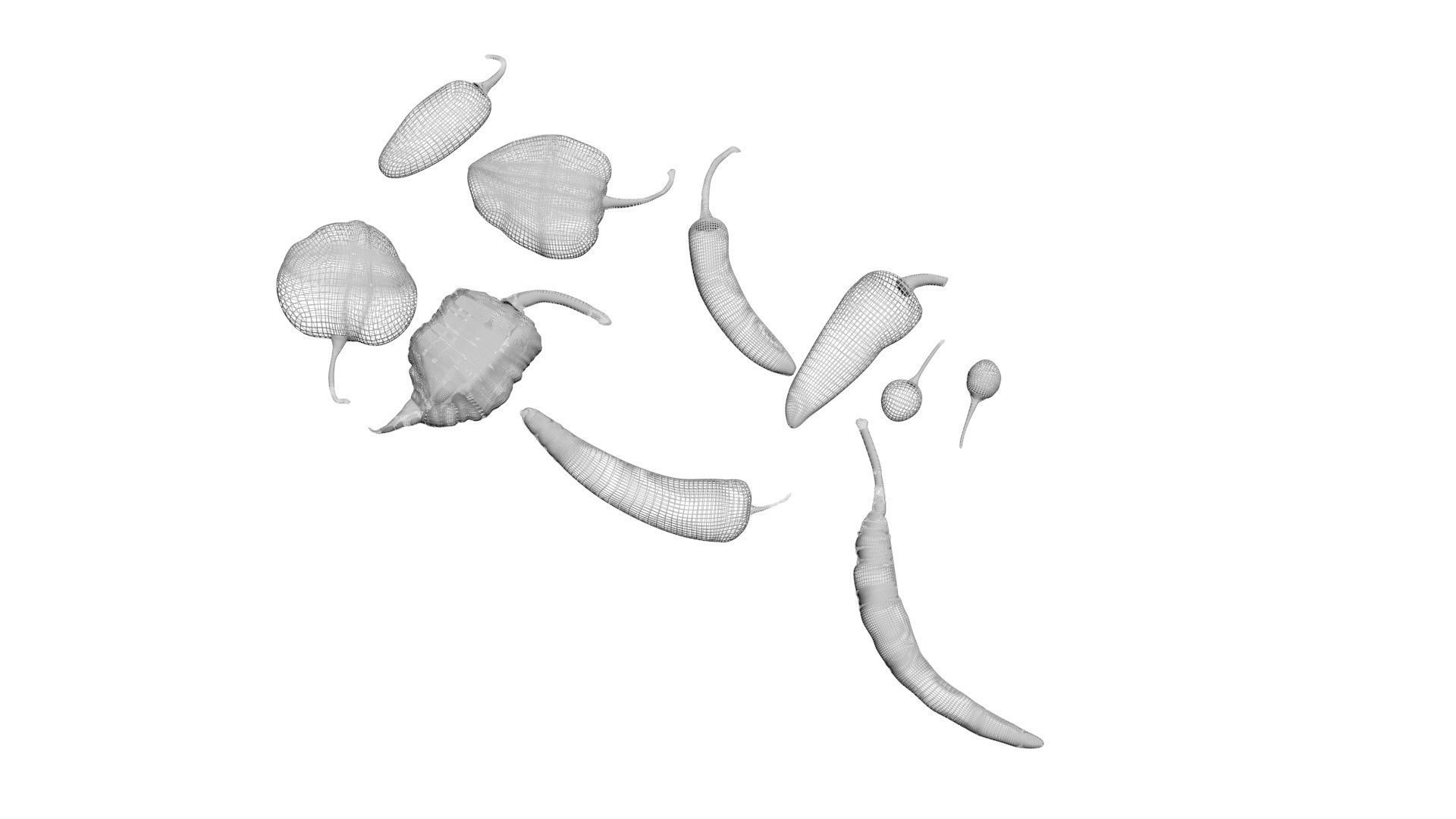Chili Peppers Set 3D model_13