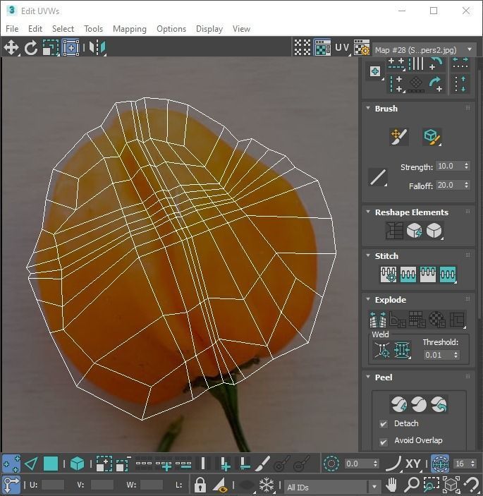 Chili Peppers Set 3D model_24