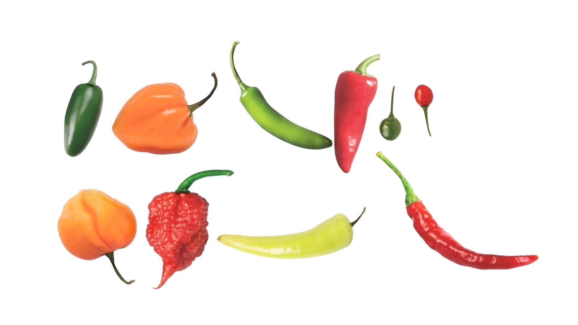 Chili Peppers Set 3D model_11