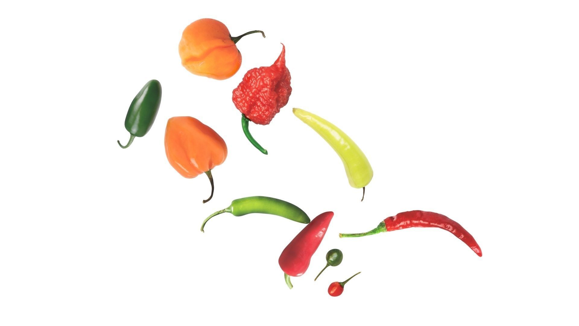 Chili Peppers Set 3D model_10